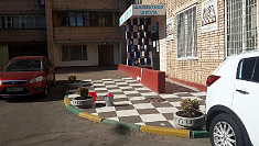 Цветы в Э...