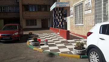 Цветы в Этюде
